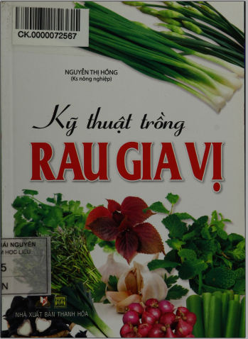 Kỹ thuật trồng rau gia vị